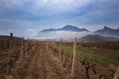 Прикрепленное изображение: IMG_7698м.jpg